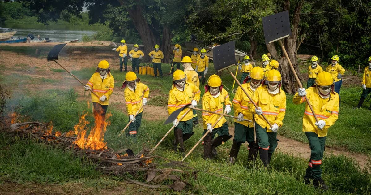 L'UNESCO renforce la résistance aux incendies dans le Pantanal et le Cerrado.